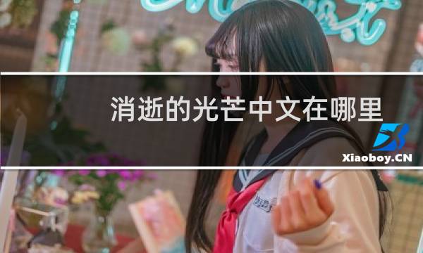 消逝的光芒中文在哪里