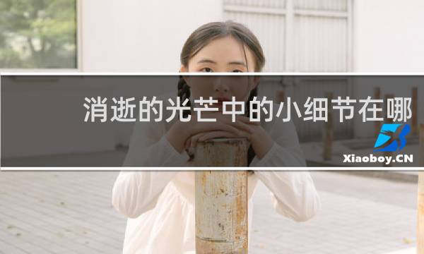 消逝的光芒中的小细节在哪