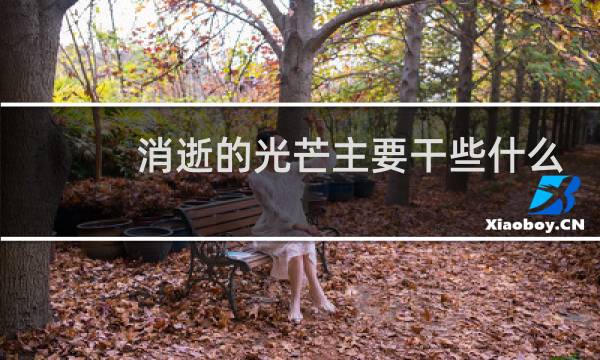 消逝的光芒主要干些什么