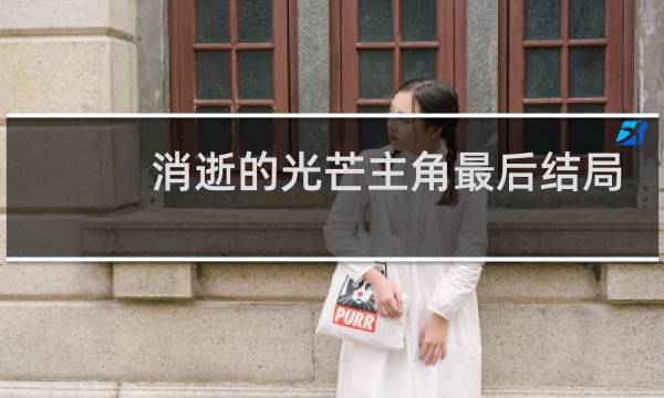 消逝的光芒主角最后结局