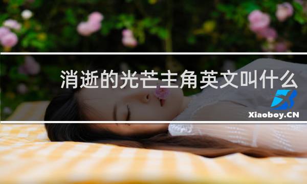 消逝的光芒主角英文叫什么