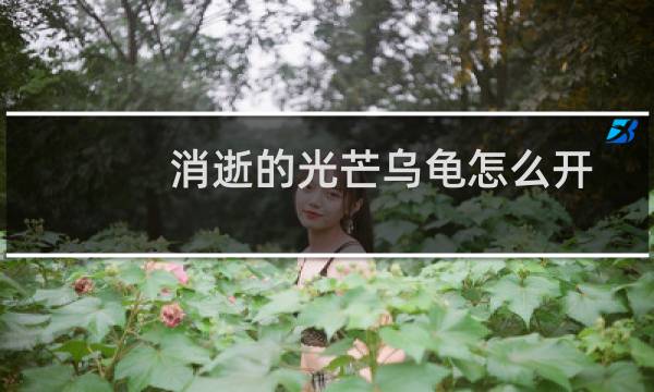 消逝的光芒乌龟怎么开