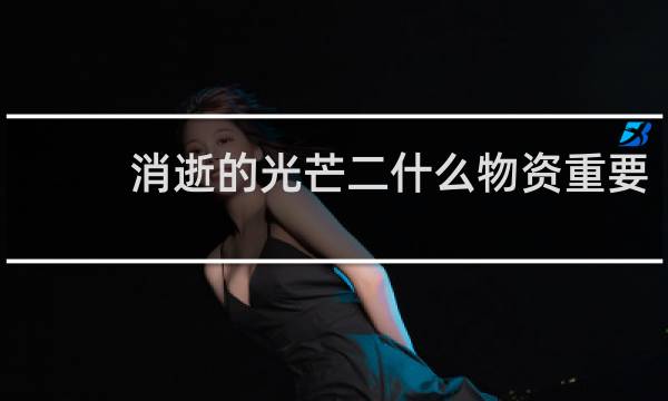 消逝的光芒二什么物资重要