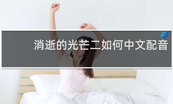 消逝的光芒二如何中文配音