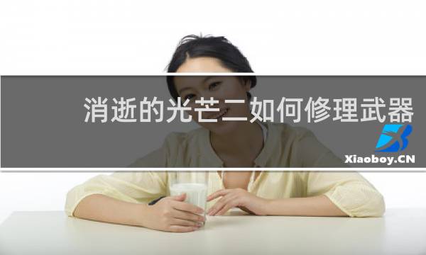 消逝的光芒二如何修理武器