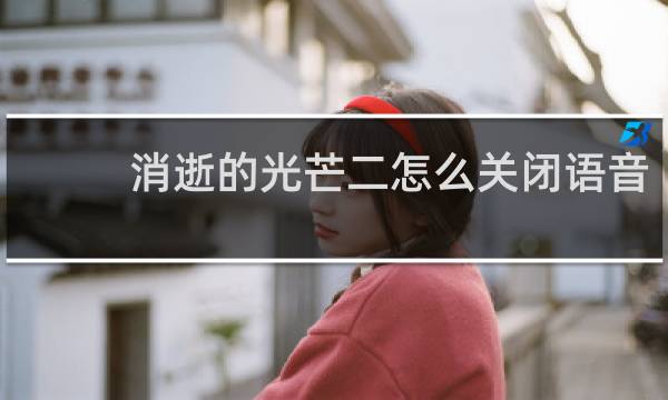 消逝的光芒二怎么关闭语音