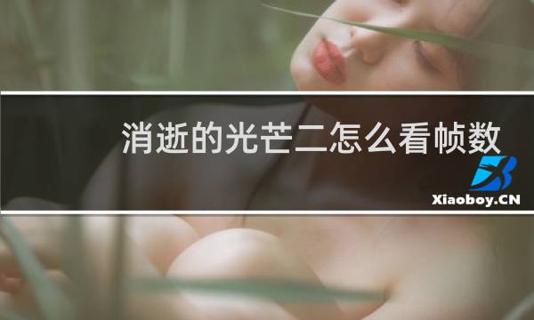 消逝的光芒二怎么看帧数