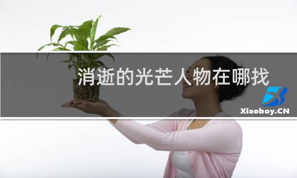 消逝的光芒人物在哪找