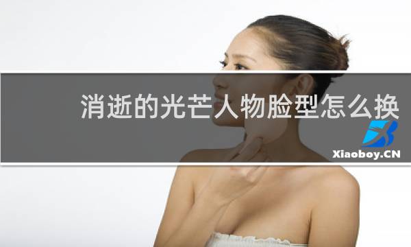 消逝的光芒人物脸型怎么换