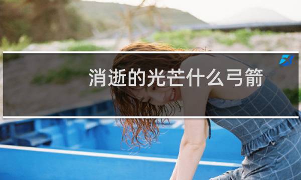 消逝的光芒什么弓箭