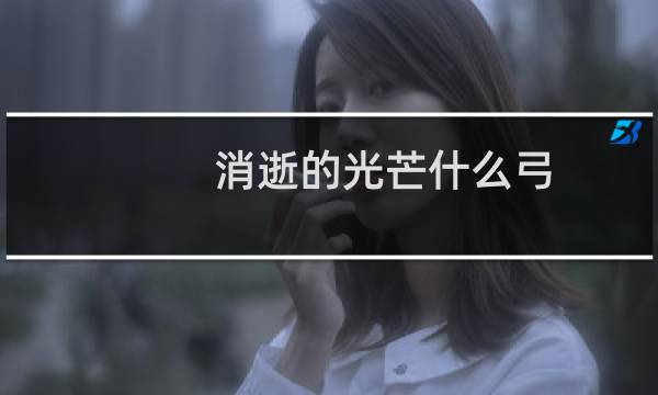 消逝的光芒什么弓