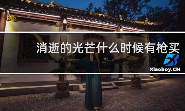 消逝的光芒什么时候有枪买