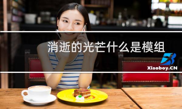 消逝的光芒什么是模组