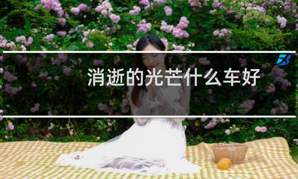 消逝的光芒什么车好