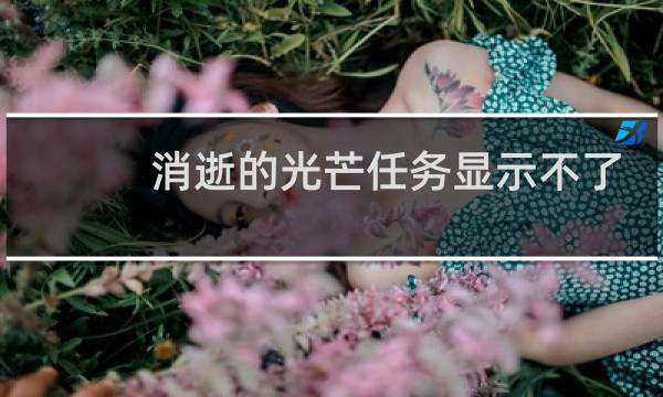 消逝的光芒任务显示不了
