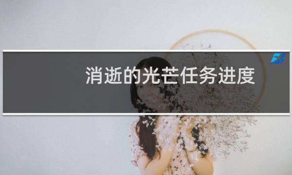 消逝的光芒任务进度