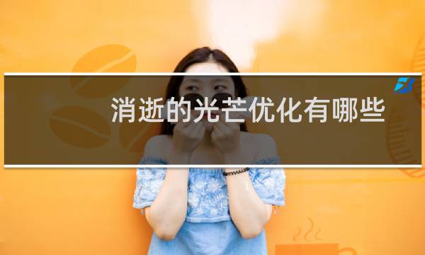 消逝的光芒优化有哪些