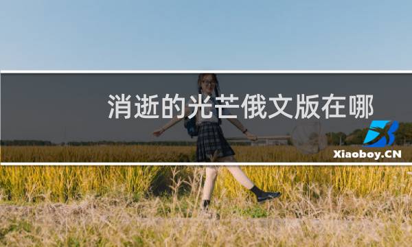 消逝的光芒俄文版在哪