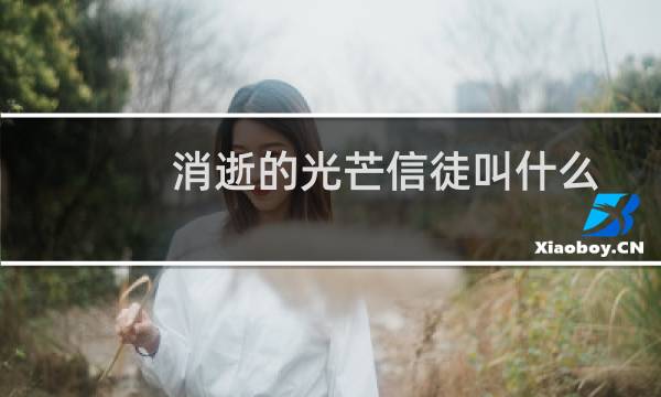 消逝的光芒信徒叫什么