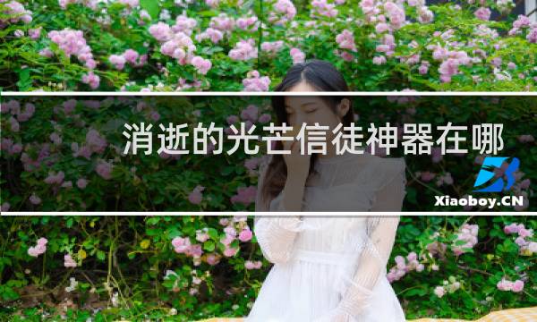 消逝的光芒信徒神器在哪