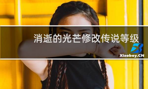 消逝的光芒修改传说等级