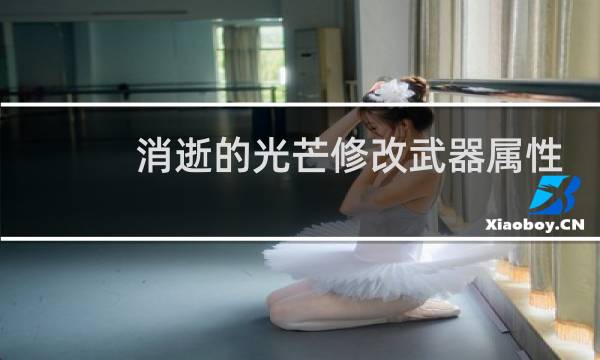 消逝的光芒修改武器属性