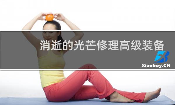消逝的光芒修理高级装备
