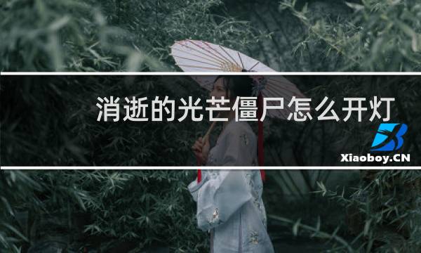 消逝的光芒僵尸怎么开灯