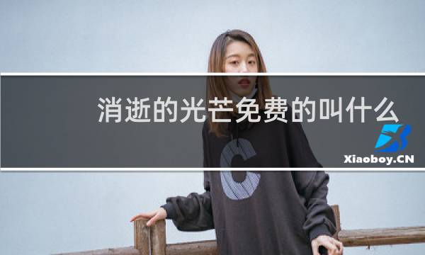 消逝的光芒免费的叫什么