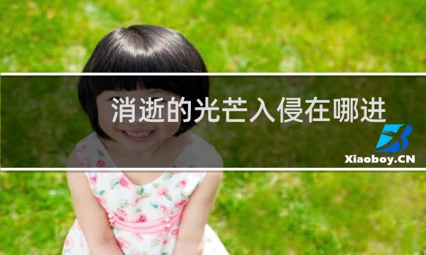 消逝的光芒入侵在哪进