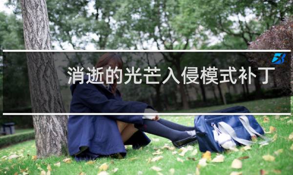 消逝的光芒入侵模式补丁