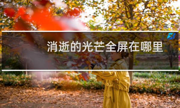 消逝的光芒全屏在哪里