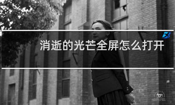 消逝的光芒全屏怎么打开