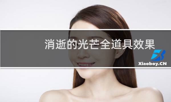 消逝的光芒全道具效果