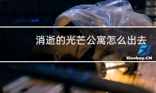 消逝的光芒公寓怎么出去