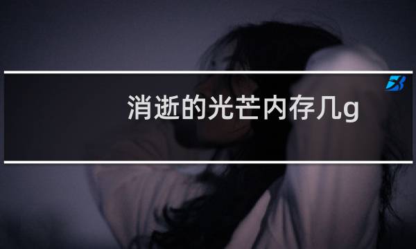 消逝的光芒内存几g