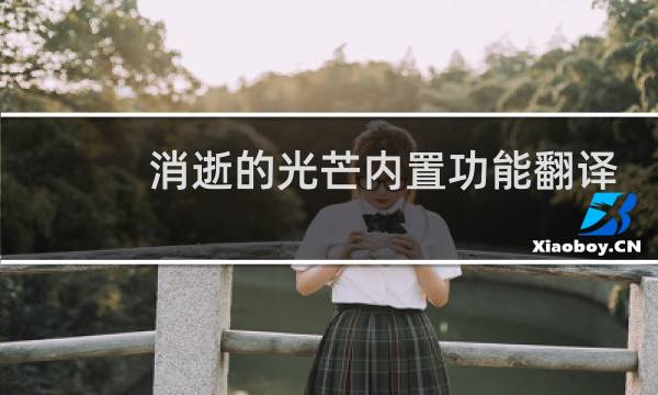 消逝的光芒内置功能翻译