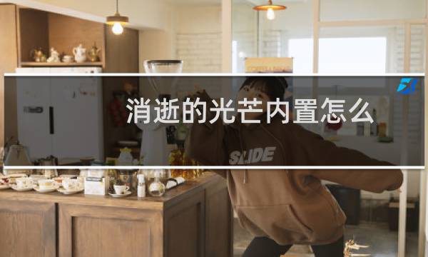 消逝的光芒内置怎么