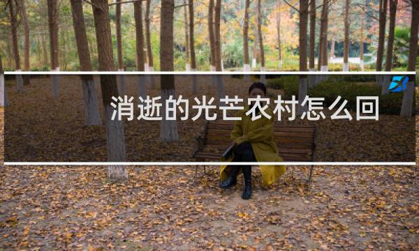 消逝的光芒农村怎么回