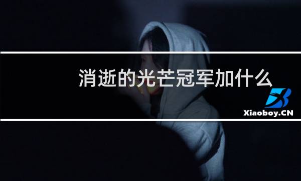 消逝的光芒冠军加什么