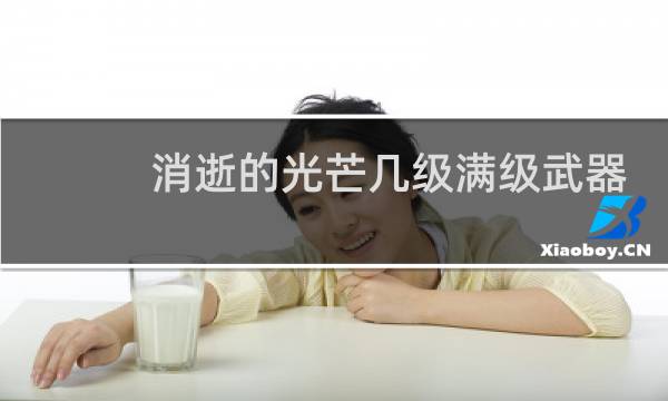 消逝的光芒几级满级武器