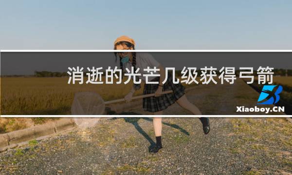 消逝的光芒几级获得弓箭