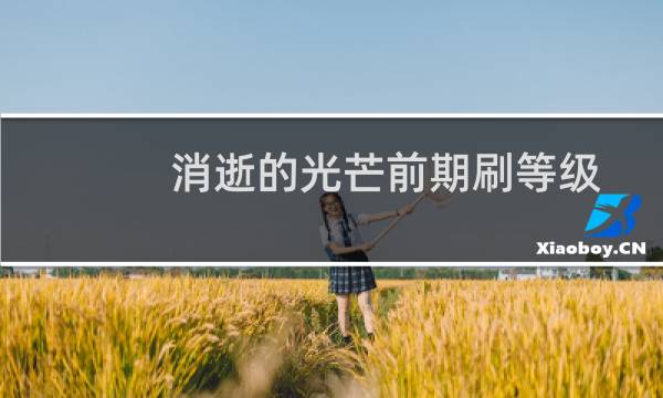 消逝的光芒前期刷等级