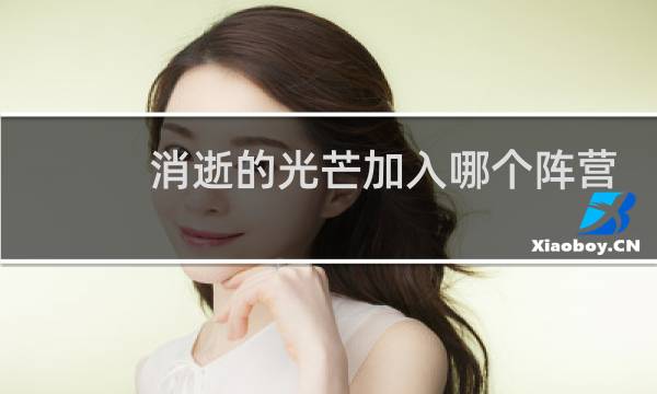 消逝的光芒加入哪个阵营