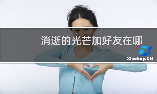 消逝的光芒加好友在哪