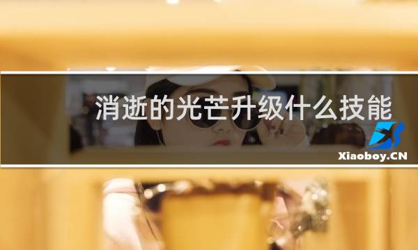 消逝的光芒升级什么技能