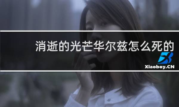 消逝的光芒华尔兹怎么死的