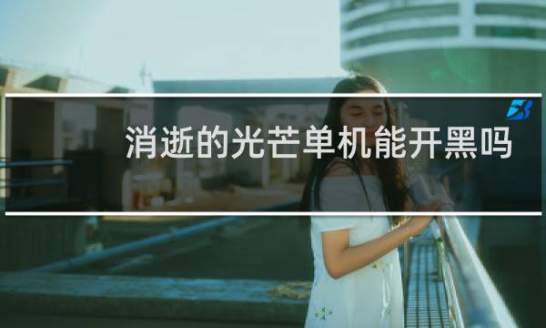 消逝的光芒单机能开黑吗