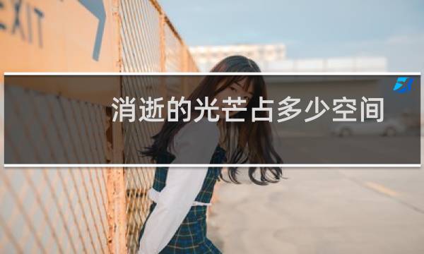 消逝的光芒占多少空间