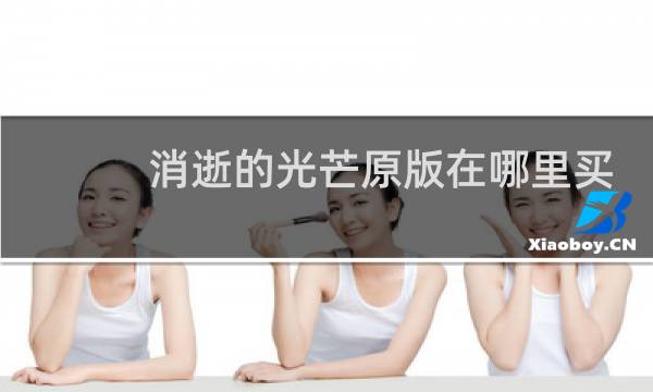 消逝的光芒原版在哪里买